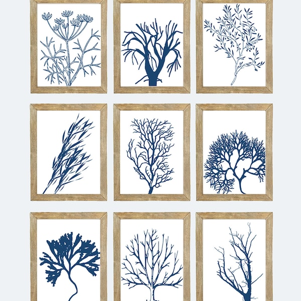 Coral Navy Wall Art Etsy