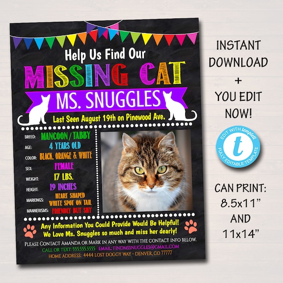 missing-cat-poster-template-pdf-template