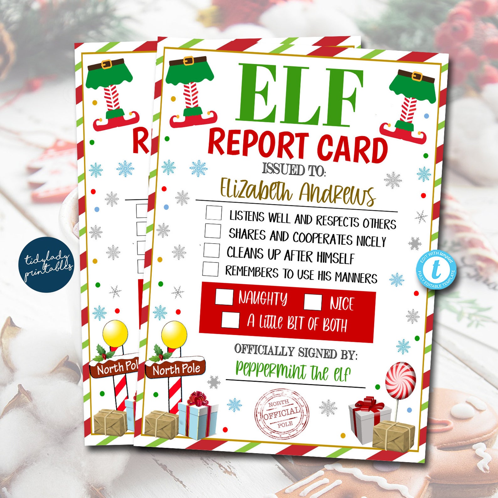 Elf Report Card Printable Christmas Kids Holiday Elf Idea - Etsy