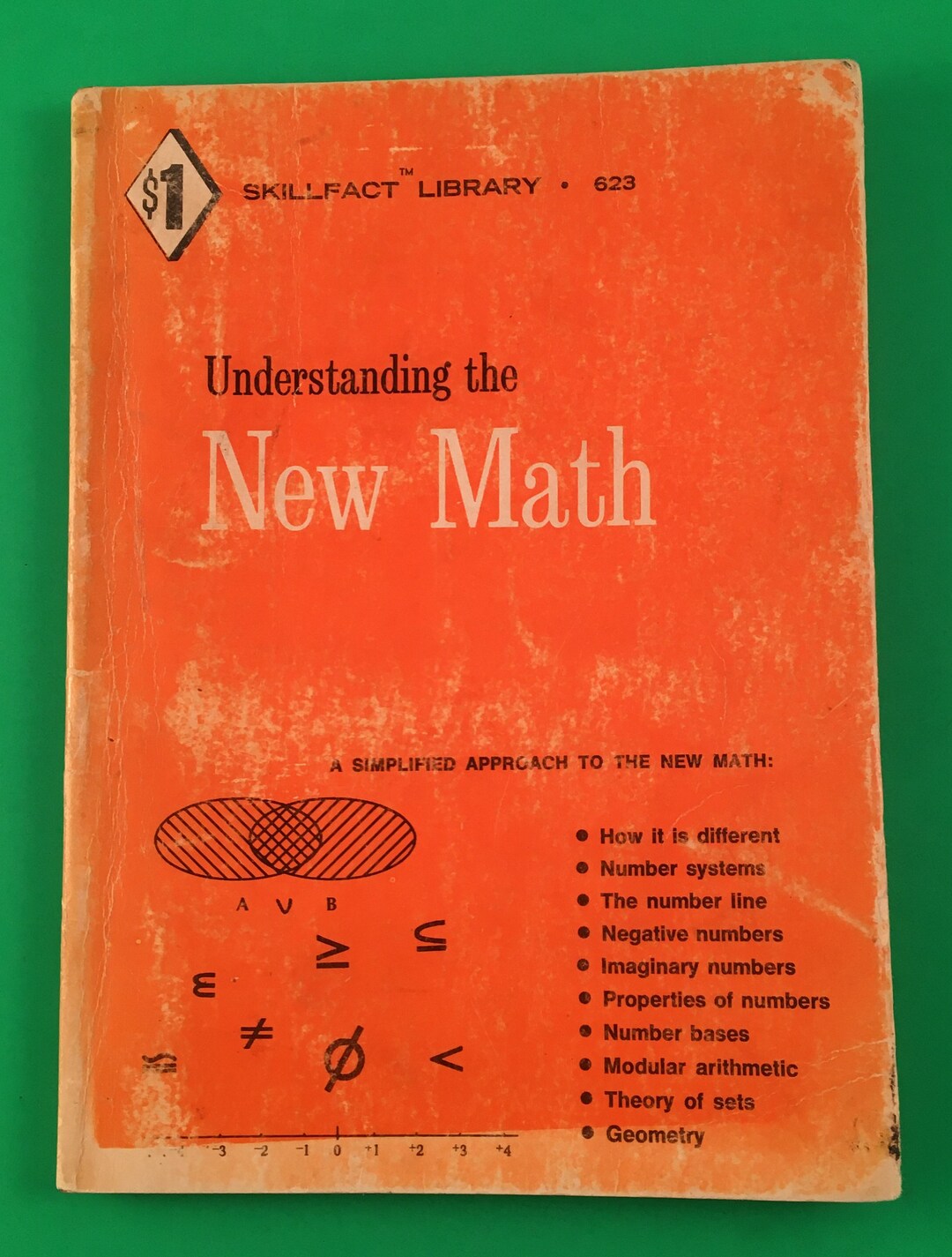 Skillfact Library Understanding the New Math by Alan Andrews TPB