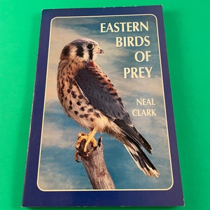 Eastern Birds of Prey by Neal Clark Vintage 1983 Thorndike Paperback TPB Photos
