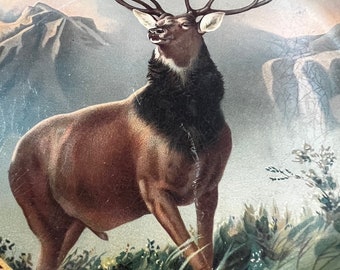 Vintage B.P.O. ELKS Grand Lodge Reunion Tin Plate With Deer