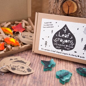 Handmade Leaf Crayons with Leaf ID Guide - Forest School