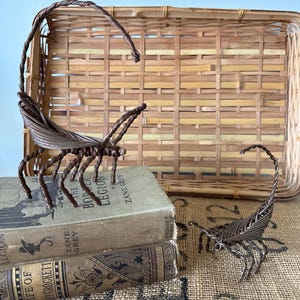 May include: Two brown wire scorpion sculptures with detailed legs and curved tails. One scorpion is larger and stands near a stack of vintage books. A woven basket tray sits in the background, adding a rustic touch to the display.