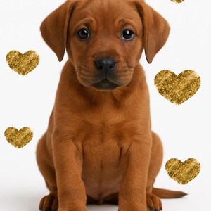 May include: A cute, brown puppy sits centered on a white background, surrounded by gold glitter hearts. The text "I WUV YOU!" is above the puppy. The puppy has dark eyes and a sweet expression.