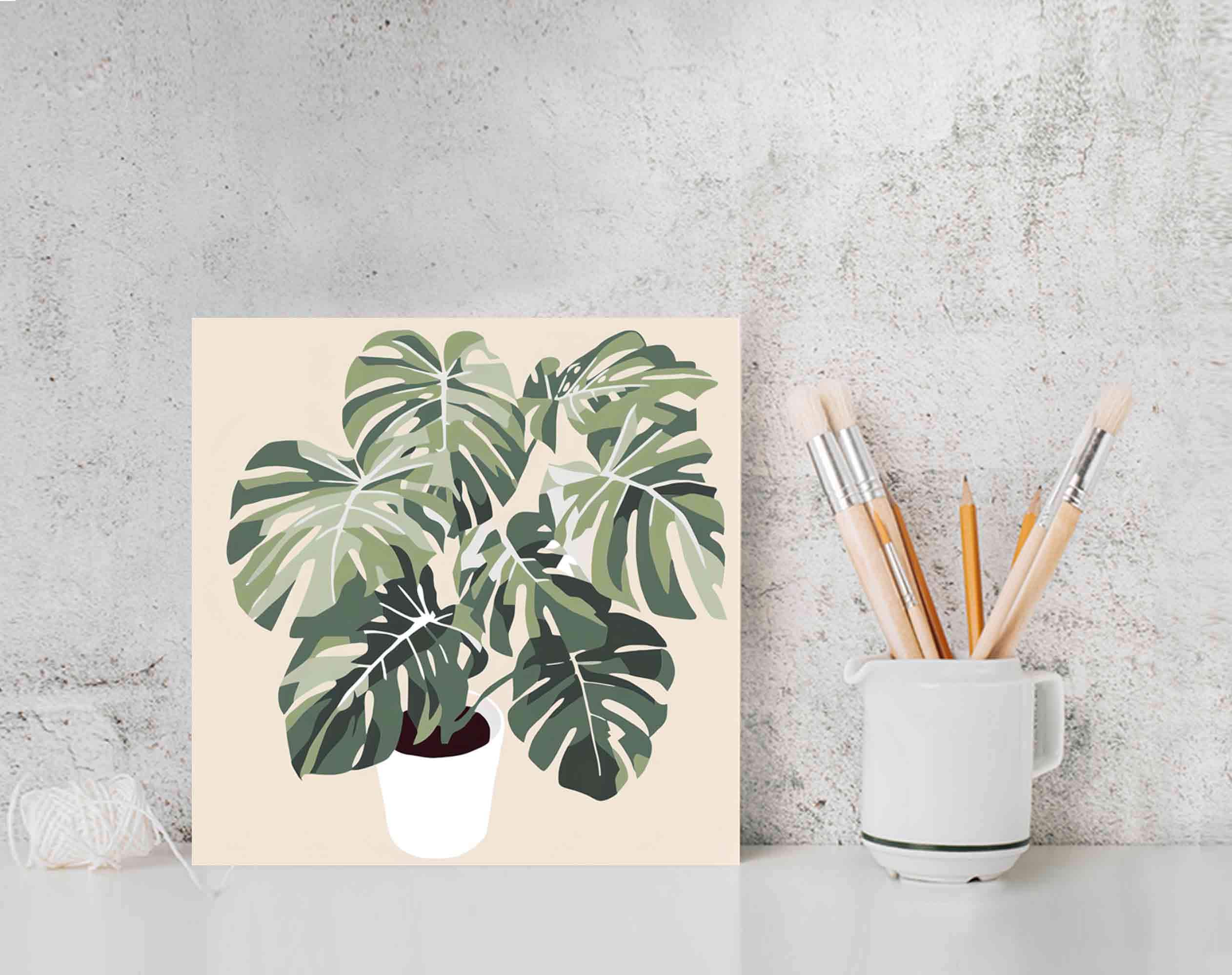 philodendron hastatum kaufen Silver Sword Philodendron main image 1
