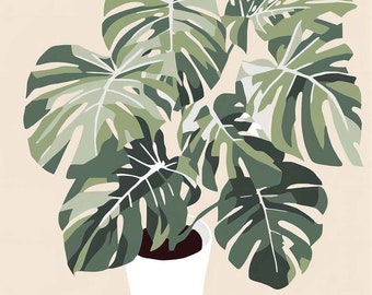 monstera online Monstera Deliciosa (X-Large)