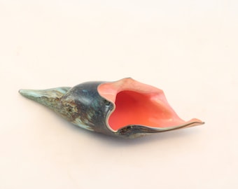 Hand Blown Lampwork Glass Seashell - Cobalt Blue, Pink Murano Conch Shell