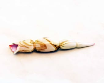 Lampwork Glass Seashell – Handmade Murano Glass, Light Ivory & Pink