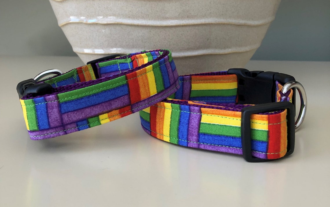Dog Collar Rainbow Colorful Stripe Geometric Etsy