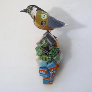 Koolmees muurvogel uit verpakkingskarton
