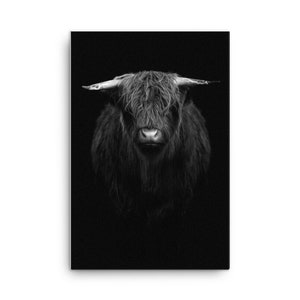Framed Wall Art - Bull with Horns - Dark, Black, and Mysterious
