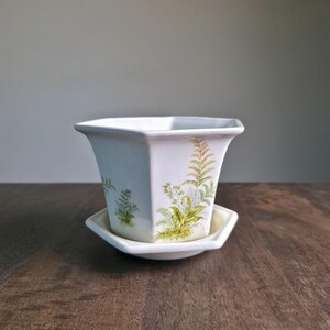 May include: A white, octagonal ceramic planter with a matching saucer. The planter features a fern design in shades of green and gold. The pot is approximately 5 inches wide and 4 inches tall, perfect for small plants.