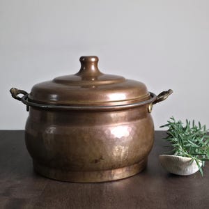May include: A copper cooking pot with a lid and handles. The pot has a hammered texture and a warm, brown color. A sprig of rosemary sits beside the pot on a dark wooden surface. The pot is a vintage kitchenware item.