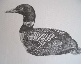 common loon drawing etsy