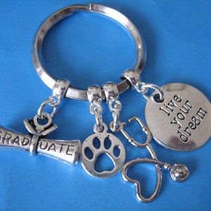 Vet Graduation Keychain: Stethoscope, Paw, Diploma Charms