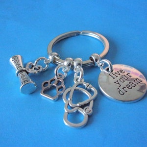 Vet Keyring Graduation Gift for a Vet Inspirational Vet Keychain Stethoscope Paw Graduate Diploma Charms Gift for Her Gift for Him