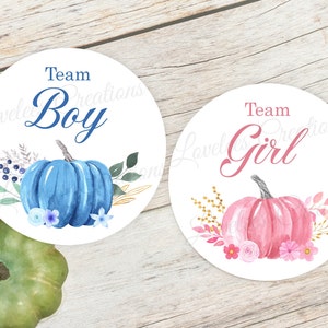 Team Boy/Team Girl Pumpkin Baby Shower Sticker - Gender Reveal Pumpkin Baby Shower Label - Pumpkin Baby Shower Favor Fall Baby Shower