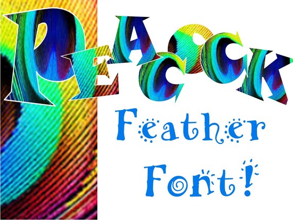 FONTS Peacock Feather Font Personal and Commercial Use | Etsy