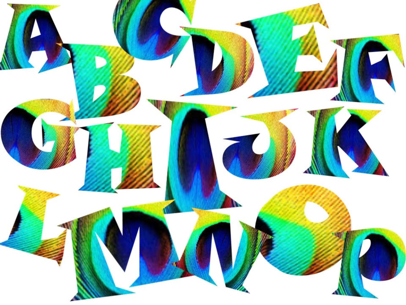 FONTS Peacock Feather Font Personal and Commercial Use | Etsy