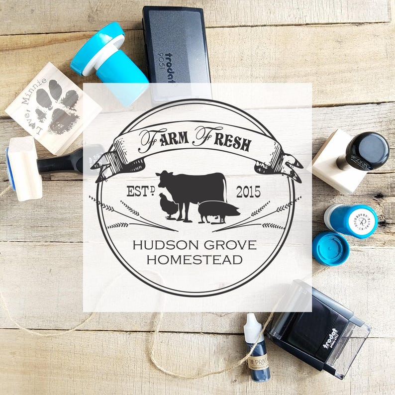 Boerderijstempel, aangepaste rubberstempel boerderijlogo, Homestead-logo ontwerpstempel, boerderij verse dierenstempel, gepersonaliseerde eierdoosstempel CS-10384 afbeelding 6