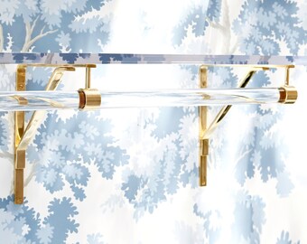 Lucite Shelf and Rack  (Nickel, Polished Brass, Satin brass)  Retail Display - Closet Organization LuxHoldups  -