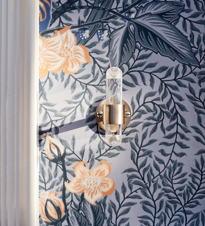 Floral patterned blue wallpaper featuring Luxholdups angled lucite robe hook with satin nickel brass hardware, wall mounted.