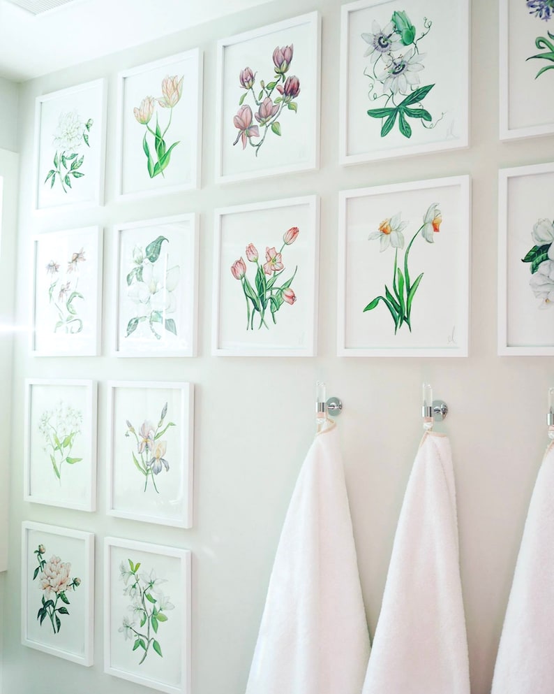 Bathroom wall featuring a series of floral prints and three acrylic lucite and silver towel hooks.