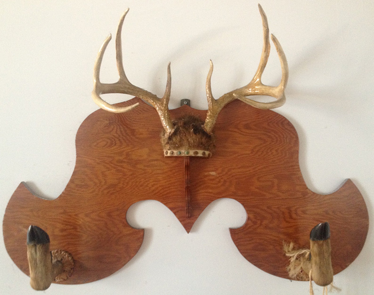 VINTAGE TAXIDERMY Deer Hoof & Antlers Taxidermy Gun Rack on Etsy