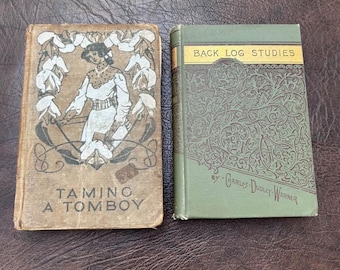 Antique vintage books novels decor beautiful covers Taming a Tomboy Back log Studies