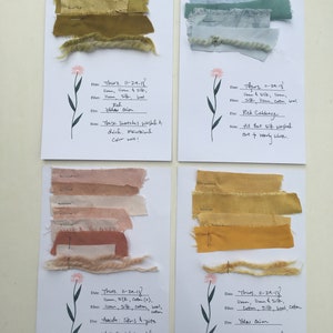 May include: Four cards displaying fabric swatches dyed with natural ingredients. Colors range from yellow-green to muted pinks and golds. Each card includes handwritten notes detailing the dye source, fiber content, and date. The swatches are pinned to the cards.