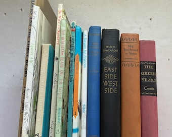 Children’s books novels kids stories decor antique vintage novels shelf display lot Victor Hugo Bernstein Bears Cronin