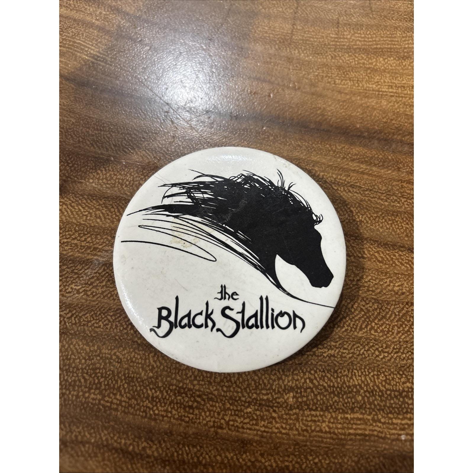 The Black Stallion 1979 - Etsy