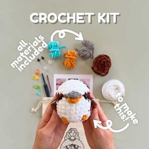 May include: Crochet kit to make a white amigurumi bird with brown, orange, and grey yarn. The kit includes all materials needed, including yarn, crochet hook, and stuffing. "All materials included to make this!" text is on the image.