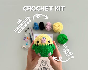 Budgie Crochet Kit for Beginners: Amigurumi Love Bird DIY Craft