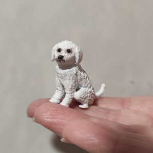 Pode incluir: Uma pequena figura de caniche de brinquedo branco sentada em uma mão. A figura tem olhos pretos e um casaco branco encaracolado.