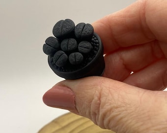 Miniature Lithops Plant | Succulent Miniature | Fake Succulent | Diorama Plant | Dollhouse Decor. 27mm (1")