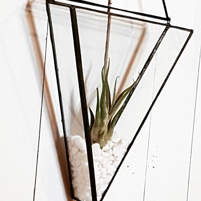 Stained Glass Air Plant Holder Etsy