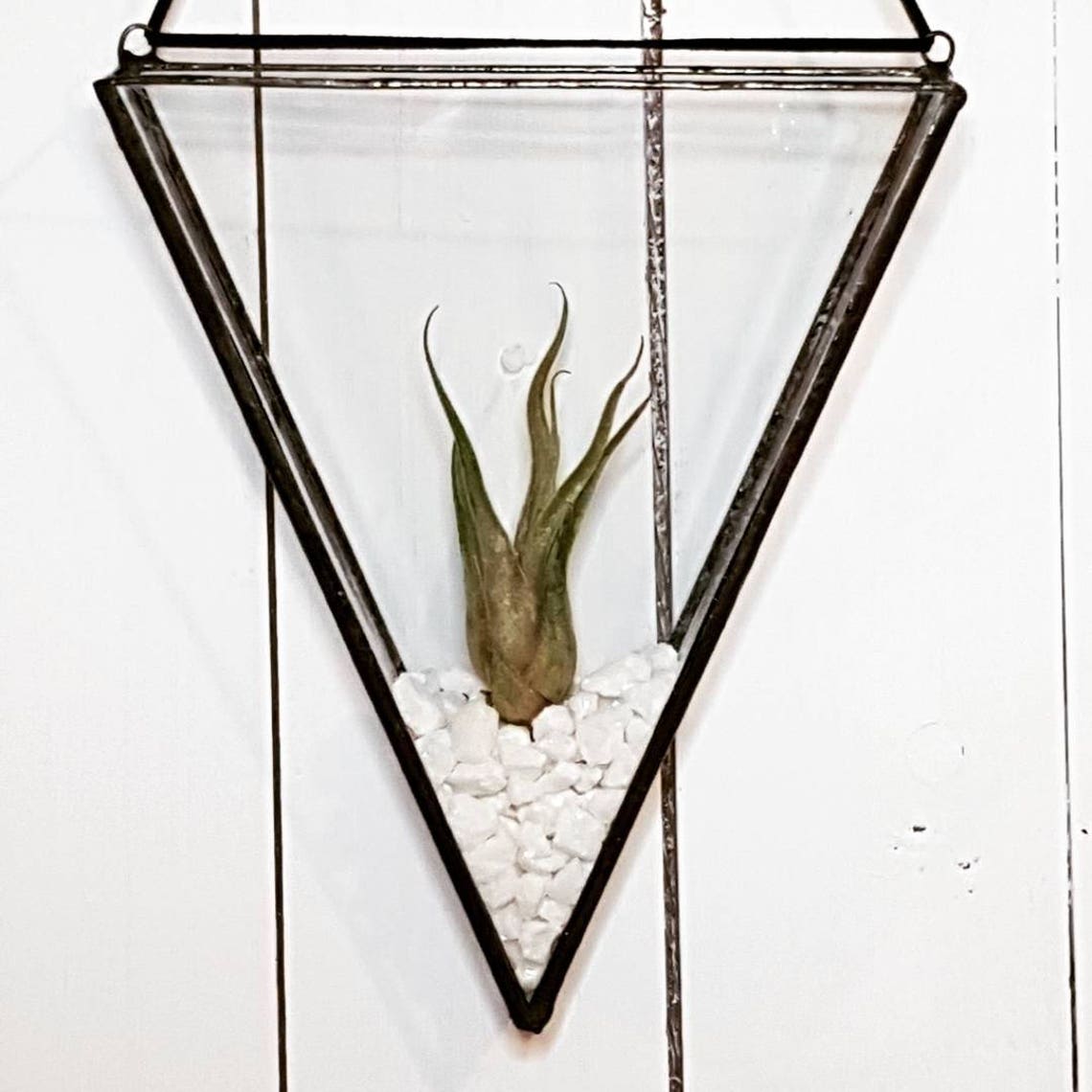 Stained Glass Air Plant Holder Etsy