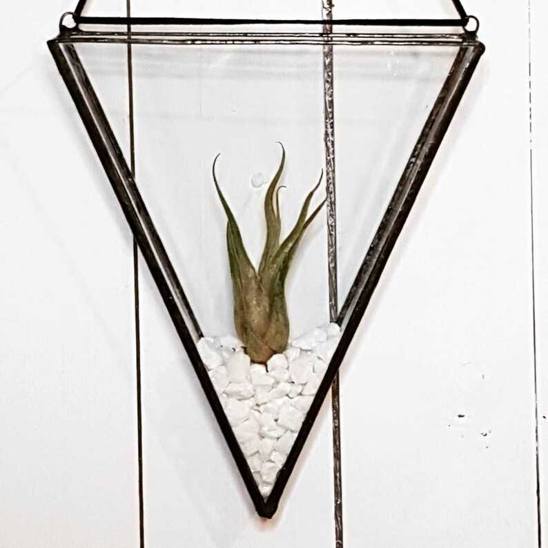 Stained Glass Air Plant Holder Etsy