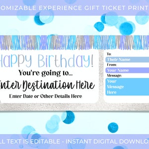 Modèle de chèque-cadeau d'expérience, billet d'expérience cadeau personnalisé imprimable, carte d'embarquement modifiable, chèque-cadeau d'anniversaire en bleu argent