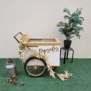 Medium-Standard Size Popsicle Cart with Sliding Glass Doors, Paleta Cart, Popsicle Cart, Ice Cream Cart with Removable Wood Frame-3 way look