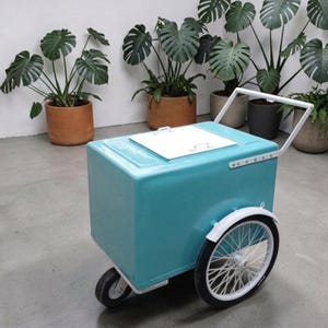 May include: A turquoise cooler on wheels with a white handle and lid. The cooler has a boxy shape and is mounted on two large white-rimmed wheels and a smaller front wheel. The background features several potted Monstera plants.