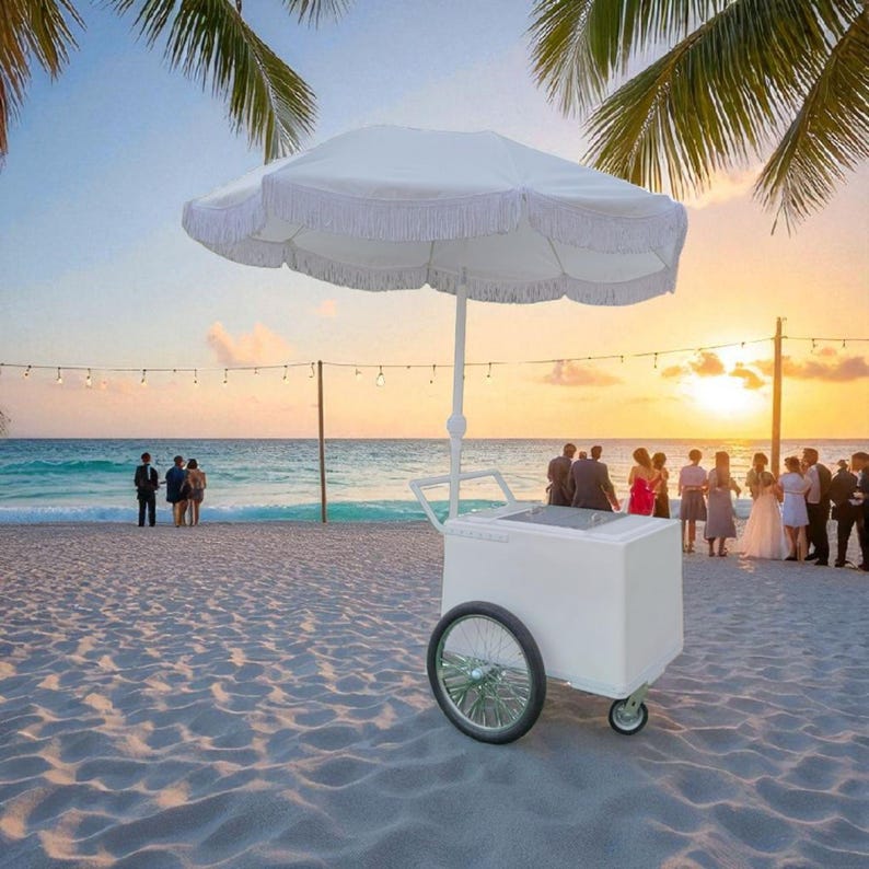 Standard Popsicle Cart, Paleta Cart, Ice Cream Cart white with white-chrome trim image 10