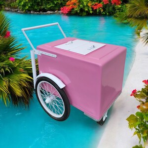 Pink w/ white trim Paleta Cart, Popsicle Cart, Ice Cream cart