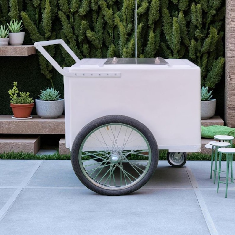 Standard Popsicle Cart, Paleta Cart, Ice Cream Cart white with white-chrome trim image 1