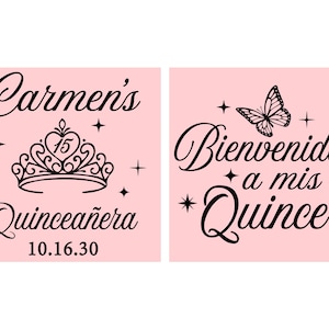 Personalized Quinceañera Frosted Cups, Mis Quince Años, 15th Birthday Copas, Quince Recuedeos, Quinceanera Party Favors | 70005 image 2