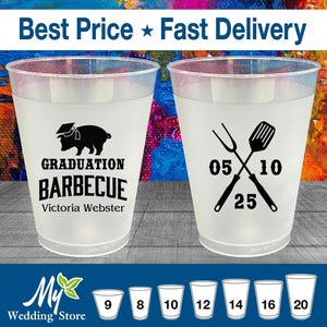 Graduation Party Frosted Cups, College Graduation Party Favors, Grad Party Favor, Class of 2025 Cups, Graduation BBQ | 130008