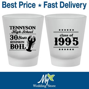 High School Reunion Shot Glasses, Class of 1995 Reunion, 30 Year Reunion, Class Reunion Gifts, College Reunion, Reunion Decor | 140027