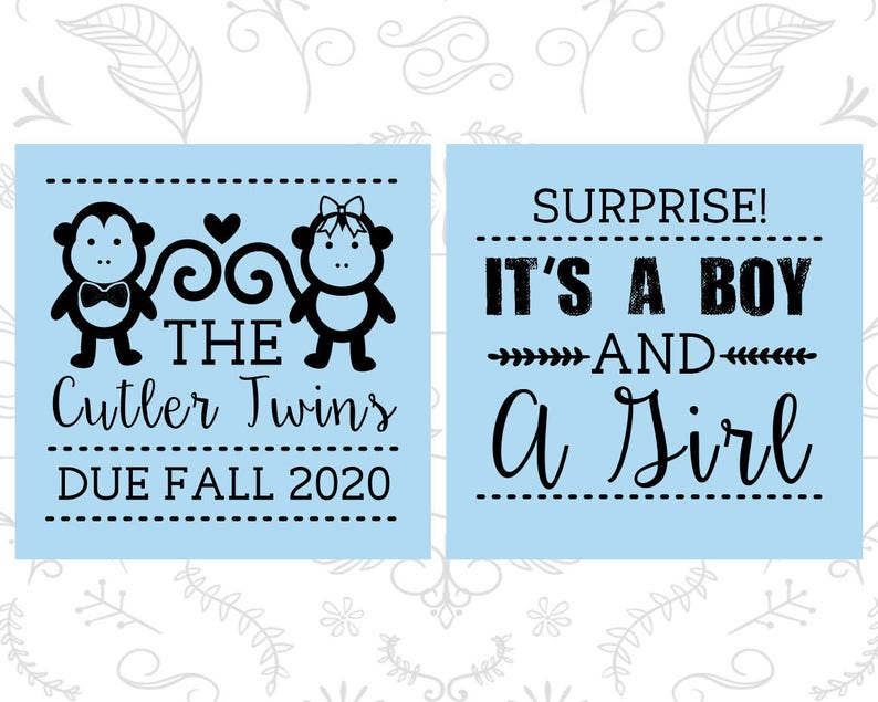 Twins Baby Shower Baby Shower Shot Glasses Baby Shower Glass Monkey Baby Shower 90063 Boy and Girl Baby Shower